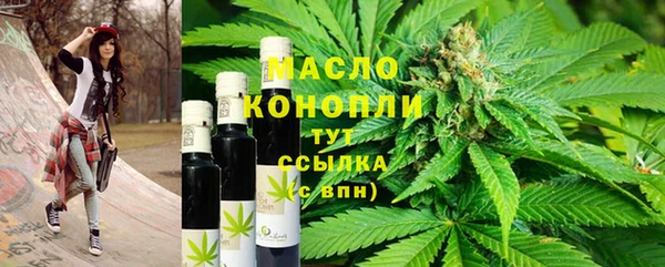 соль ск Елабуга