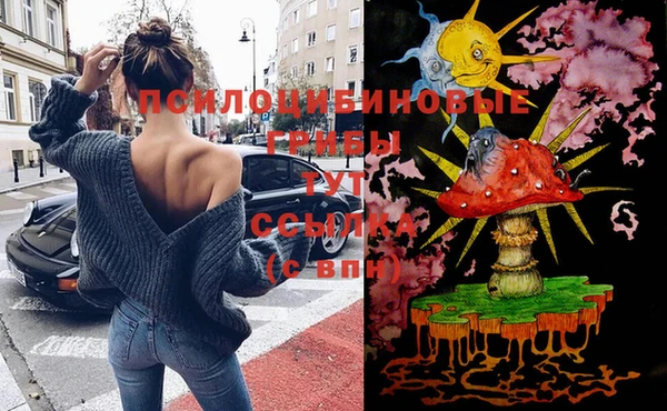 прущая мука Ельня