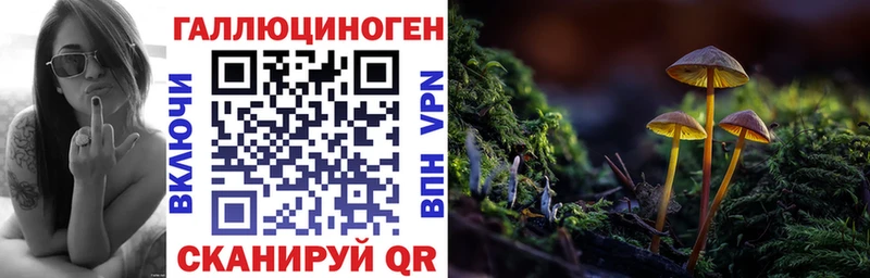 Псилоцибиновые грибы GOLDEN TEACHER  Купить  Нерехта 
